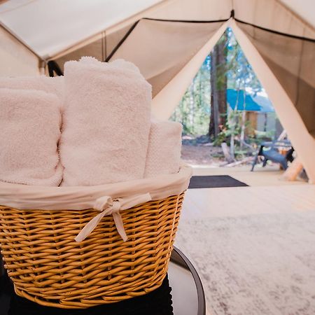 Cedar Haven Cabins And Resort Clearwater Kültér fotó